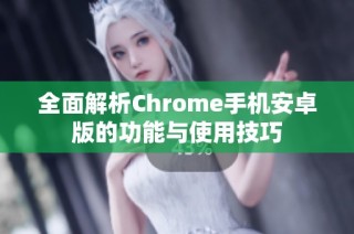 全面解析Chrome手机安卓版的功能与使用技巧