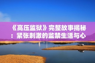 《高压监狱》完整故事揭秘：紧张刺激的监禁生活与心灵挣扎