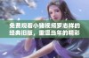 免费观看小猪视频罗志祥的经典旧版，重温当年的精彩瞬间