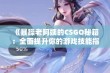 《暴躁老阿姨的CSGO秘籍：全面提升你的游戏技能指南》