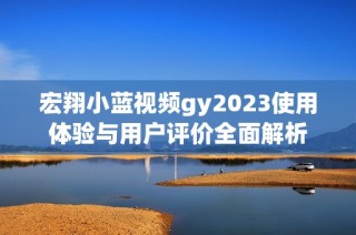 宏翔小蓝视频gy2023使用体验与用户评价全面解析