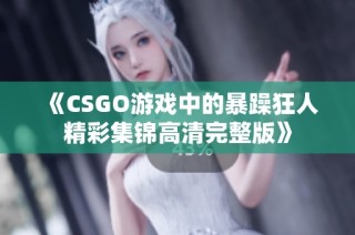 《CSGO游戏中的暴躁狂人精彩集锦高清完整版》