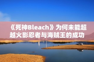 《死神Bleach》为何未能超越火影忍者与海贼王的成功高度