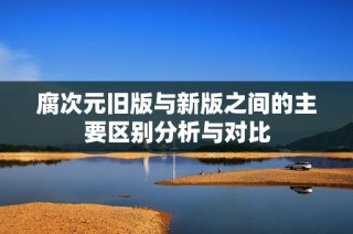 腐次元旧版与新版之间的主要区别分析与对比