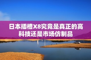 日本插槽X8究竟是真正的高科技还是市场仿制品