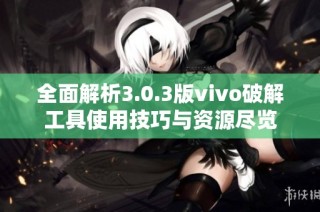 全面解析3.0.3版vivo破解工具使用技巧与资源尽览