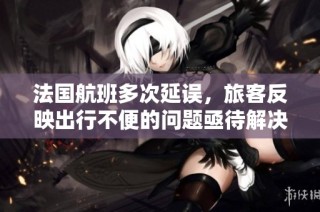 法国航班多次延误，旅客反映出行不便的问题亟待解决