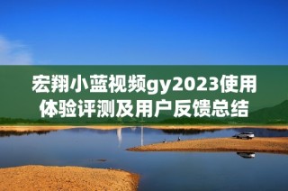 宏翔小蓝视频gy2023使用体验评测及用户反馈总结