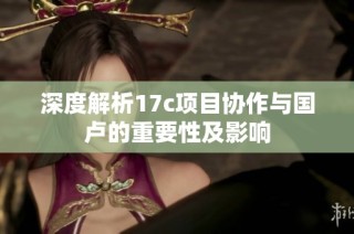 深度解析17c项目协作与国卢的重要性及影响