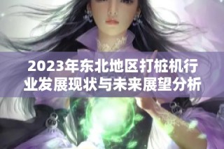 2023年东北地区打桩机行业发展现状与未来展望分析