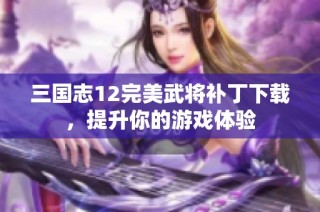 三国志12完美武将补丁下载，提升你的游戏体验