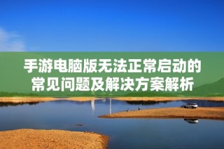 手游电脑版无法正常启动的常见问题及解决方案解析