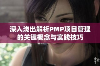 深入浅出解析PMP项目管理的关键概念与实践技巧