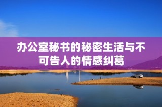 办公室秘书的秘密生活与不可告人的情感纠葛