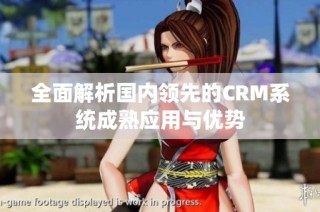 全面解析国内领先的CRM系统成熟应用与优势