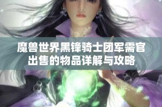 魔兽世界黑锋骑士团军需官出售的物品详解与攻略