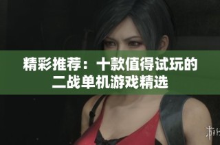 精彩推荐：十款值得试玩的二战单机游戏精选