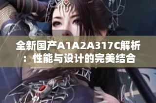 全新国产A1A2A317C解析：性能与设计的完美结合