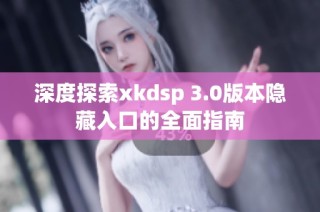 深度探索xkdsp 3.0版本隐藏入口的全面指南