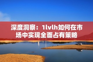 深度洞察：1lvlh如何在市场中实现全面占有策略