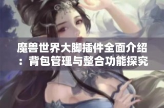 魔兽世界大脚插件全面介绍：背包管理与整合功能探究