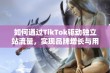 如何通过TikTok驱动独立站流量，实现品牌增长与用户转化