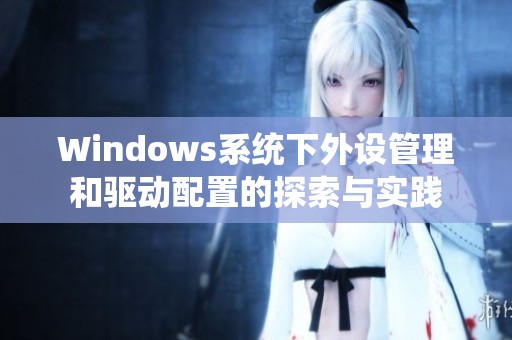 Windows系统下外设管理和驱动配置的探索与实践