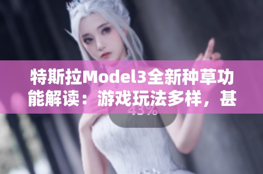 特斯拉Model3全新种草功能解读：游戏玩法多样，甚至还能搞笑整蛊