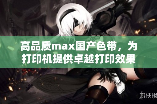 高品质max国产色带，为打印机提供卓越打印效果