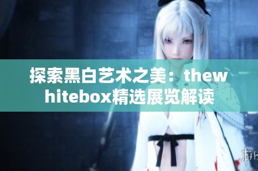 探索黑白艺术之美：thewhitebox精选展览解读