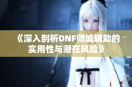 《深入剖析DNF倾城辅助的实用性与潜在风险》