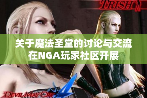 关于魔法圣堂的讨论与交流在NGA玩家社区开展