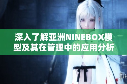 深入了解亚洲NINEBOX模型及其在管理中的应用分析