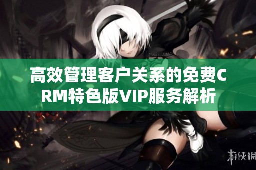 高效管理客户关系的免费CRM特色版VIP服务解析