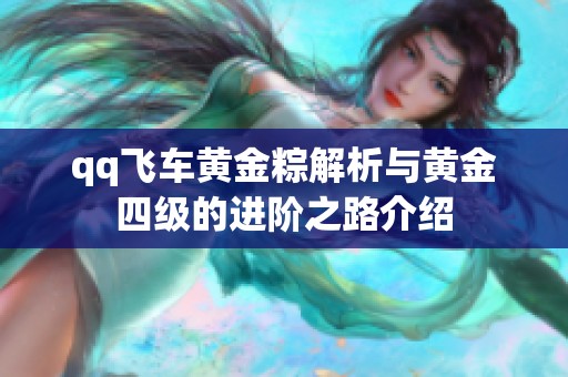 qq飞车黄金粽解析与黄金四级的进阶之路介绍