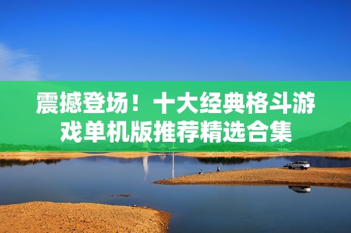 震撼登场！十大经典格斗游戏单机版推荐精选合集