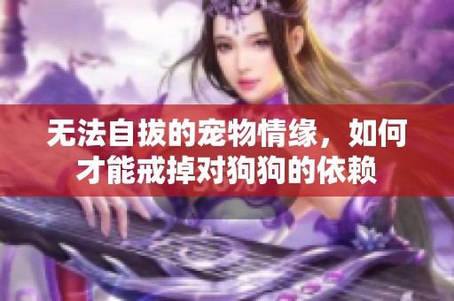 无法自拔的宠物情缘，如何才能戒掉对狗狗的依赖