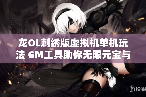 龙OL刺绣版虚拟机单机玩法 GM工具助你无限元宝与百级神器