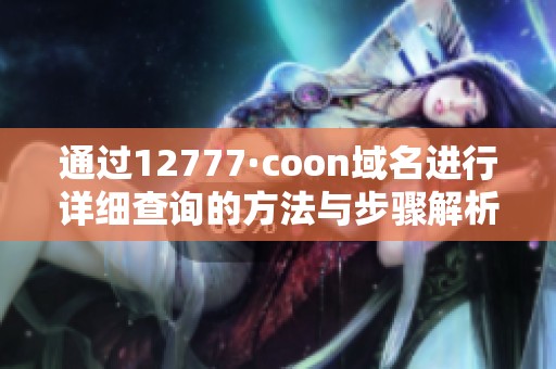 通过12777·coon域名进行详细查询的方法与步骤解析