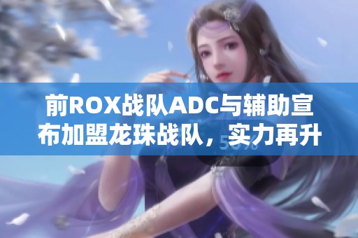 前ROX战队ADC与辅助宣布加盟龙珠战队，实力再升级！