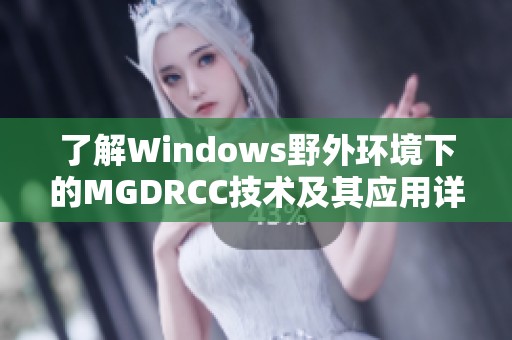 了解Windows野外环境下的MGDRCC技术及其应用详解