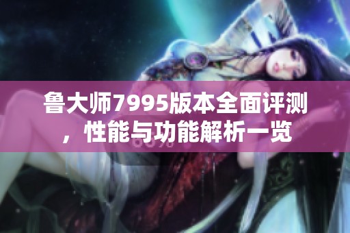 鲁大师7995版本全面评测，性能与功能解析一览