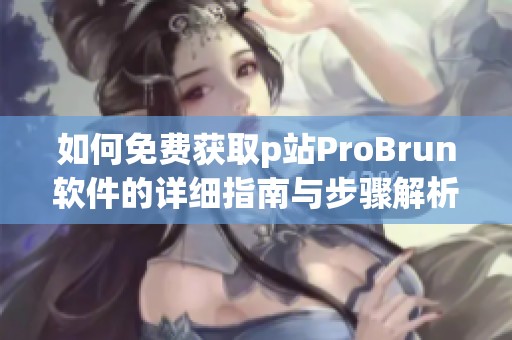 如何免费获取p站ProBrun软件的详细指南与步骤解析