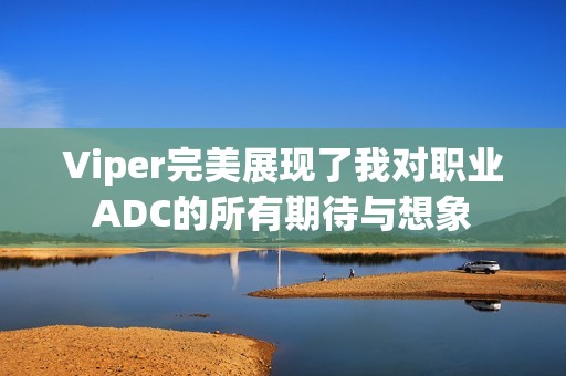 Viper完美展现了我对职业ADC的所有期待与想象