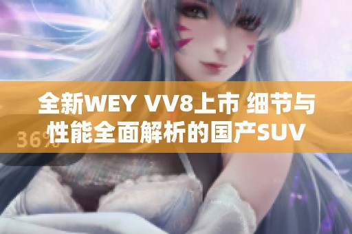 全新WEY VV8上市 细节与性能全面解析的国产SUV