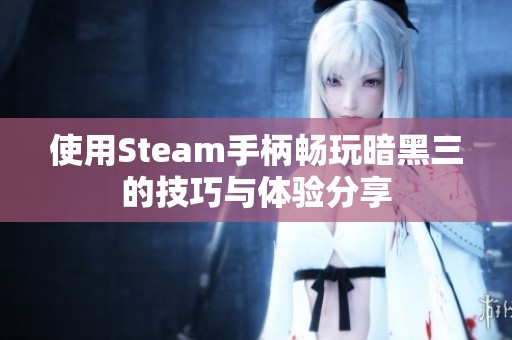 使用Steam手柄畅玩暗黑三的技巧与体验分享