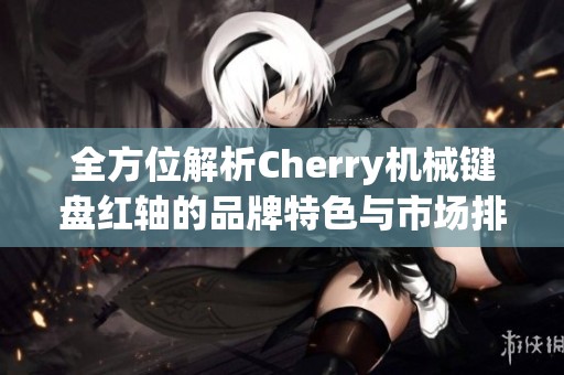 全方位解析Cherry机械键盘红轴的品牌特色与市场排行