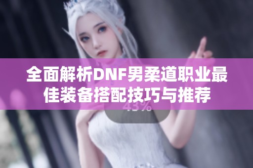 全面解析DNF男柔道职业最佳装备搭配技巧与推荐