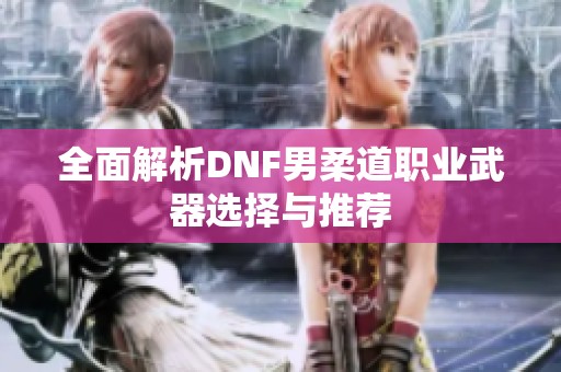 全面解析DNF男柔道职业武器选择与推荐