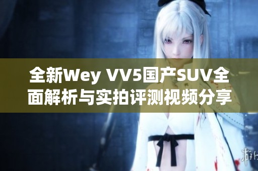 全新Wey VV5国产SUV全面解析与实拍评测视频分享